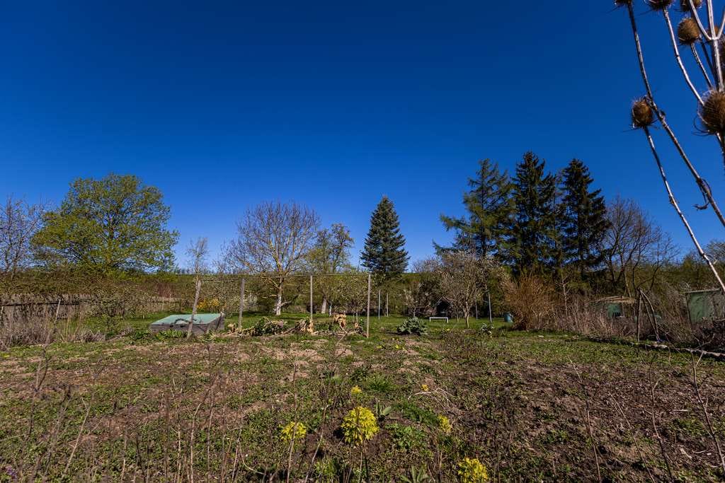 Immobilie in Lindholz - Ökologisch kernsaniertes Landhaus mit großem Grundstück, Ausbaureserve und Streuobstwiese - Bild 0