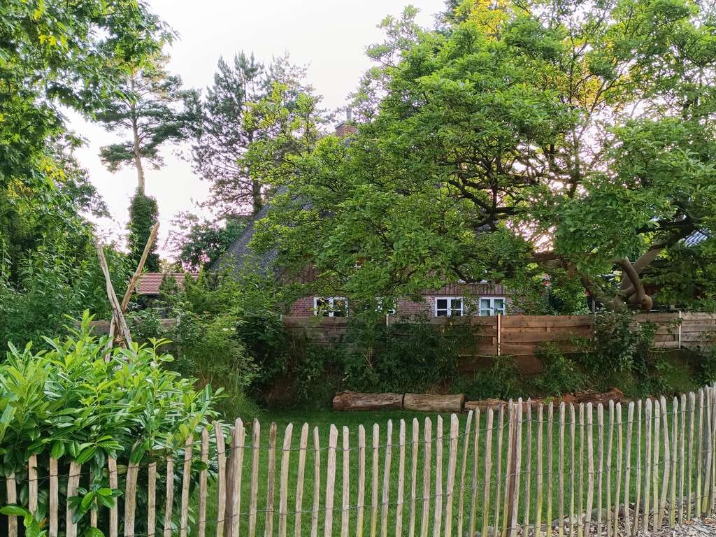 Immobilie in Kremperheide - Charmantes kernsaniertes Reetdachhaus mit moderner Technik und liebevoll angelegtem Garten - Bild 4