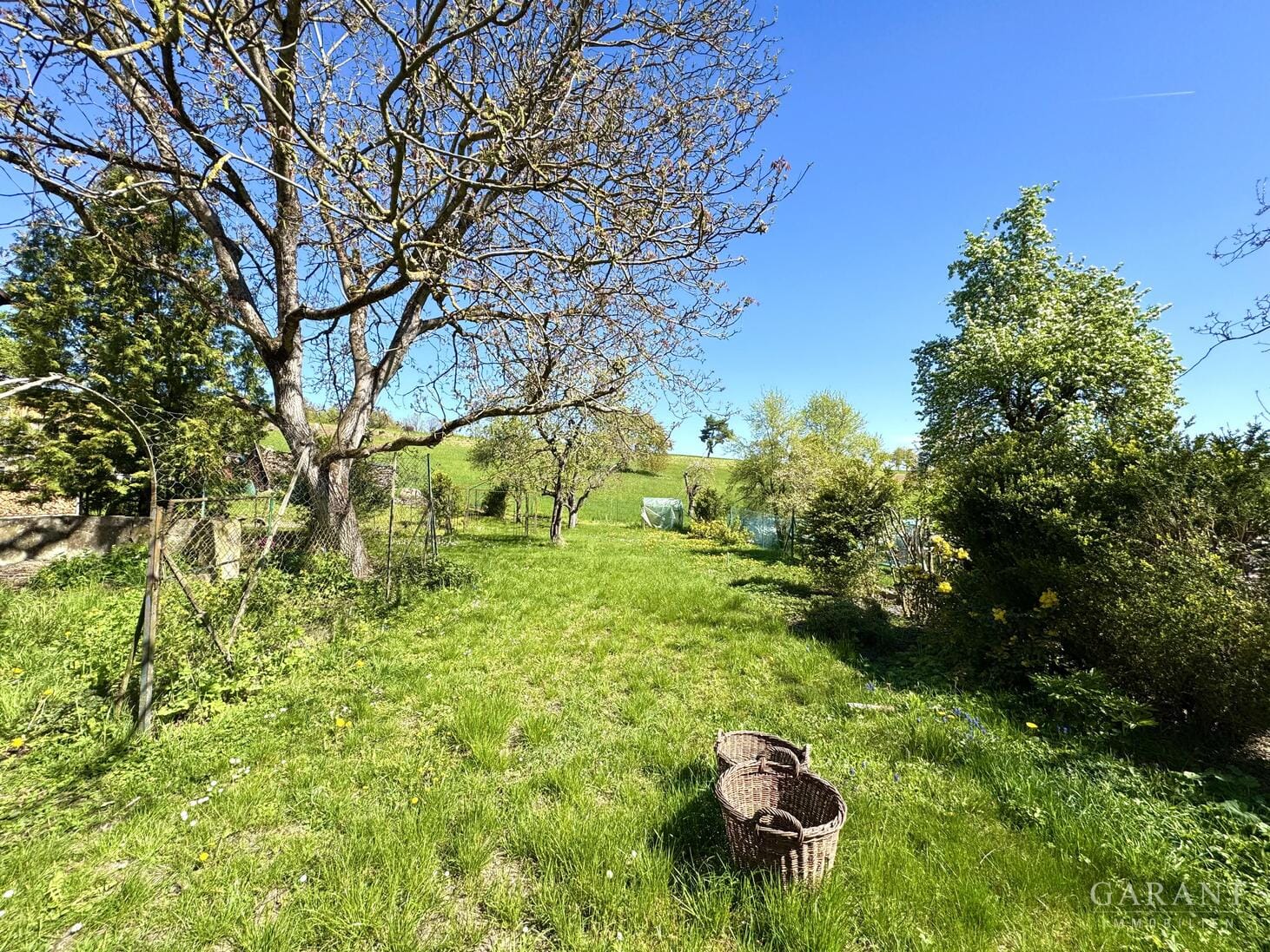 Immobilie in Dachsbach - Ein Kaufpreis - zwei Wohnhäuser - mit Scheune und Gartenidylle !!! - Bild 2