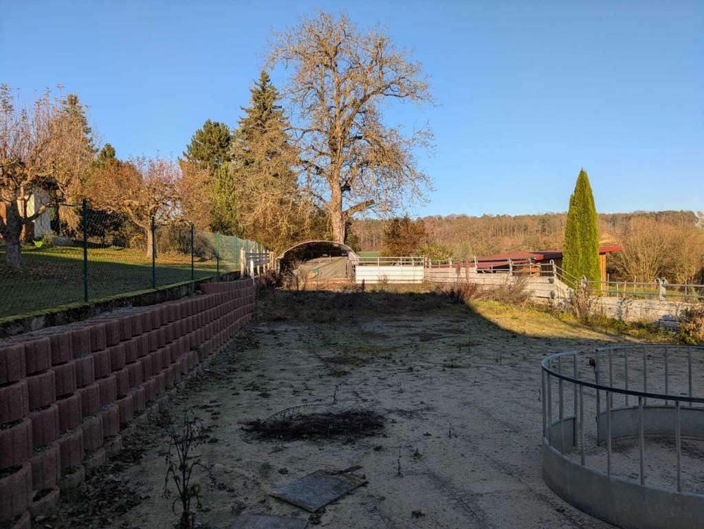 Immobilie in Gemünden am Main - Gemünden a. Main, Resthof mit ELW - Bild 4