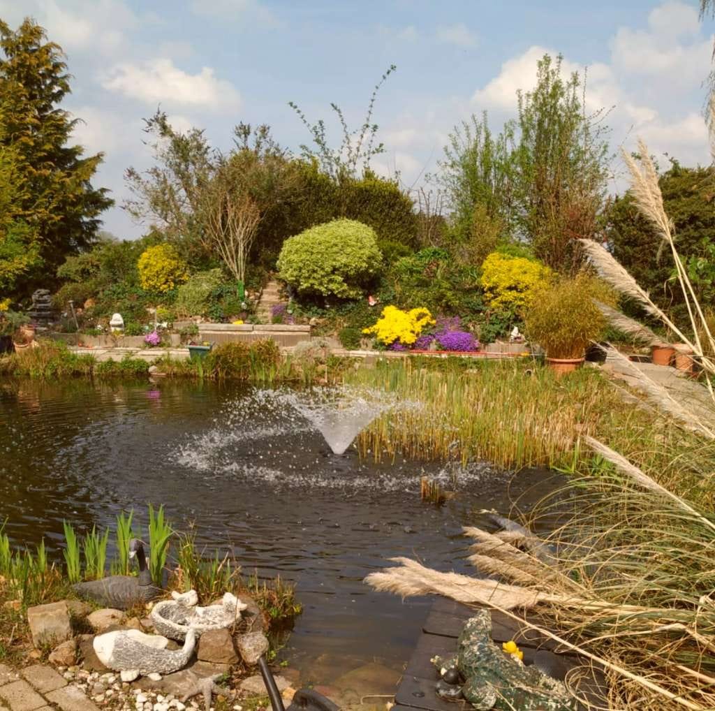 Immobilie in Preußisch Oldendorf - Fachwerkhaus mit großem, gepflegtem Grundstück, Gartenteich und Freizeitgebäude in ruhiger Lage - Bild 1