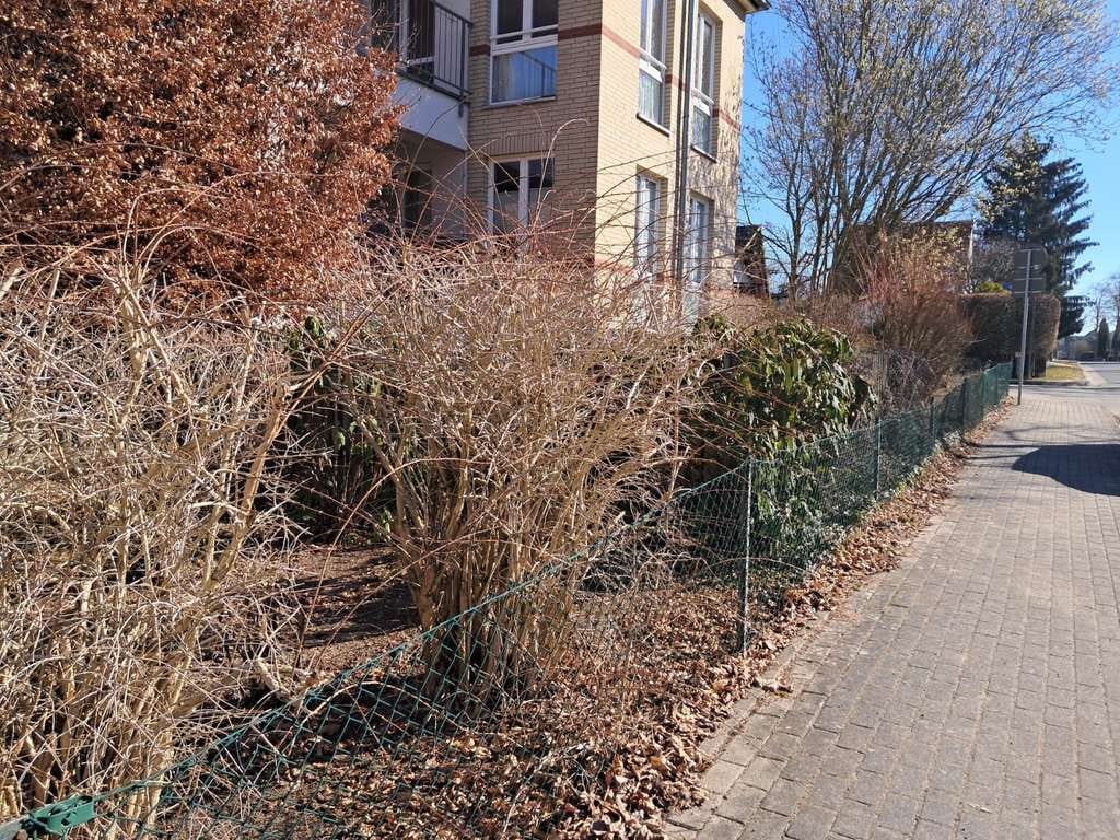 Immobilie in Stahnsdorf - Ruhige Lage in Stahnsdorf mit Tiefgaragenplatz - Bild 0
