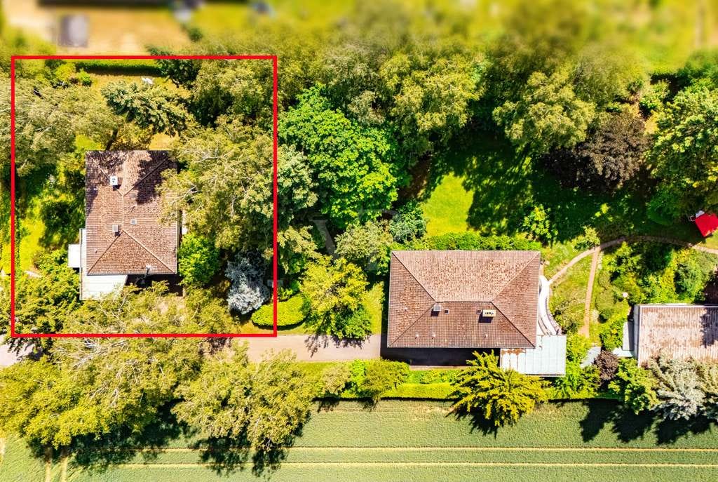 Immobilie in Bad Rodach - Charmantes Einfamilienhaus auf parkähnlichem Grundstück - Bild 3