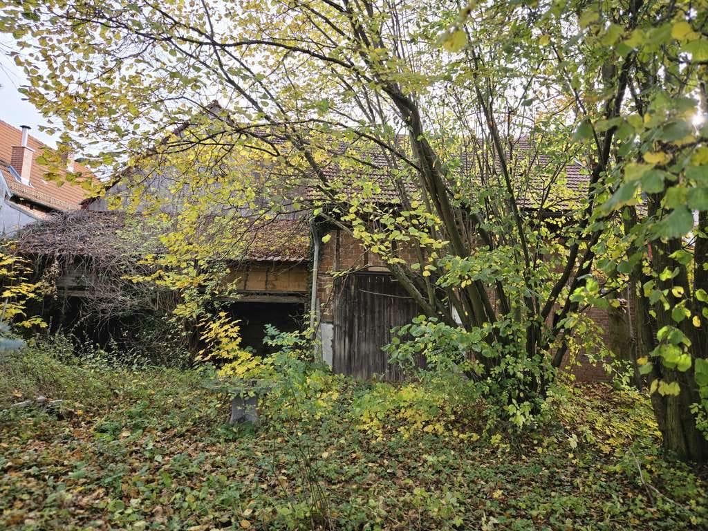 Immobilie in Vogtei - Wohnhaus mit Erweiterungspotential - Bild 1