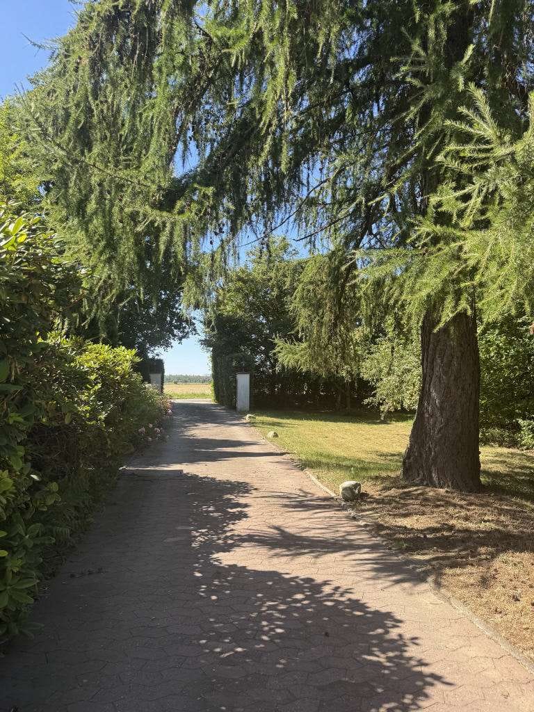 Immobilie in Salzgitter - Skandinavischer Wohntraum / Wohnen und Arbeiten im Einklang mit der Natur - einzigartiges Blockaus - Bild 2