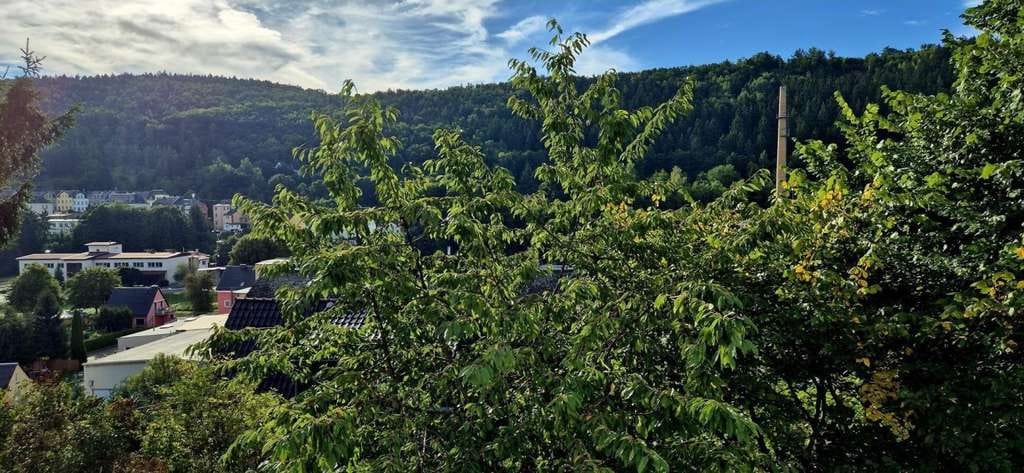 Immobilie in Elsterberg - Wohnen am Schlossberg - Bild 4