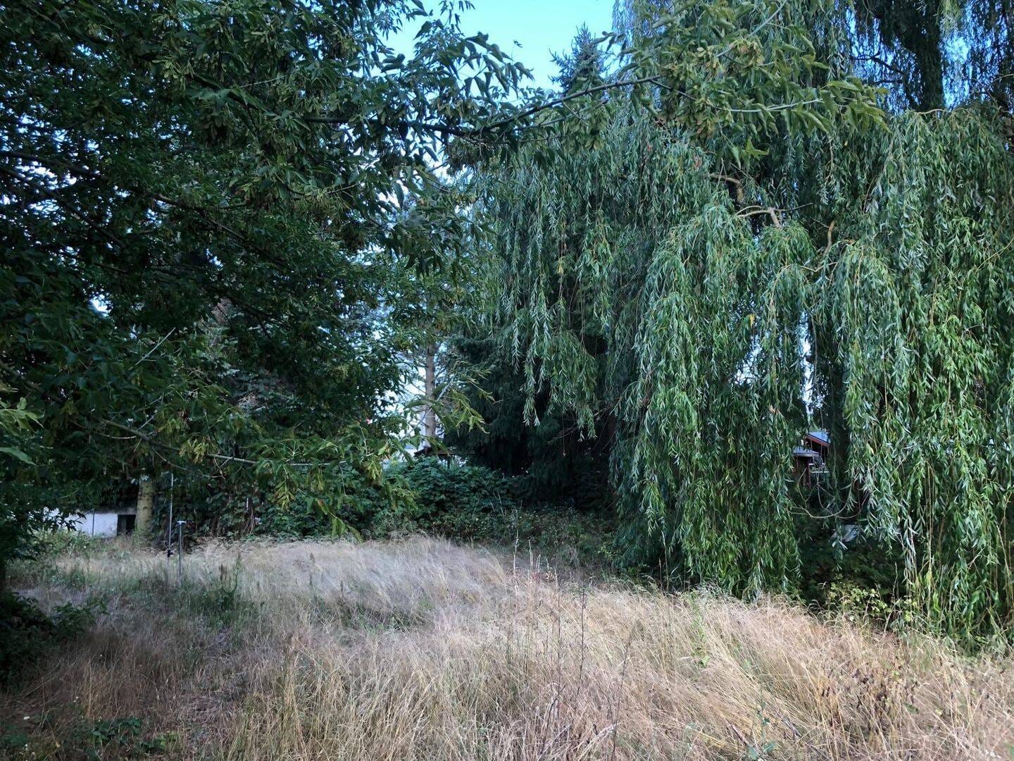 Immobilie in Werder (Havel) - Freistehendes Einfamilienhaus in idyllischer Waldrandlage von Werder - Bild 4