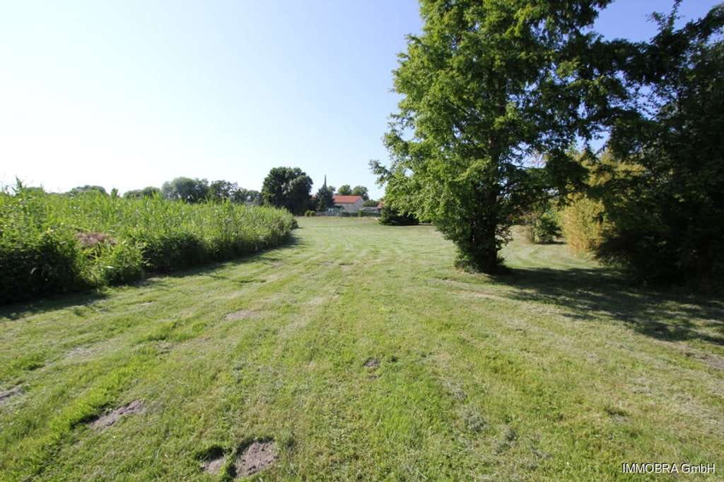 Immobilie in Beetzsee - Großzügiges Einfamilienhaus am Beetzsee mit Wintergarten, Terrasse und Strandzugang - Bild 4