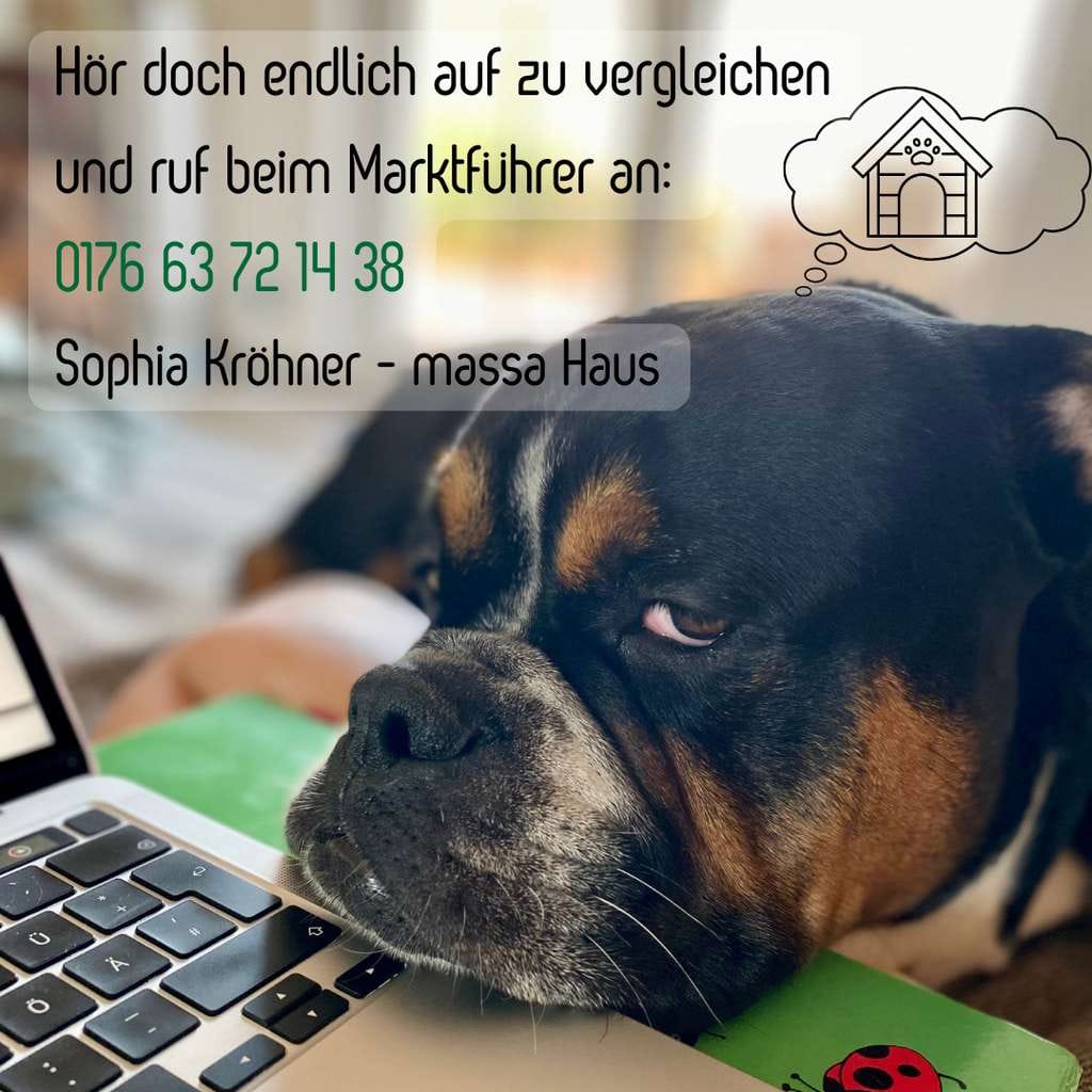 Immobilie in Wolkenstein - beste Kombi für deine Familie: Grundstück, Haus - Bild 0
