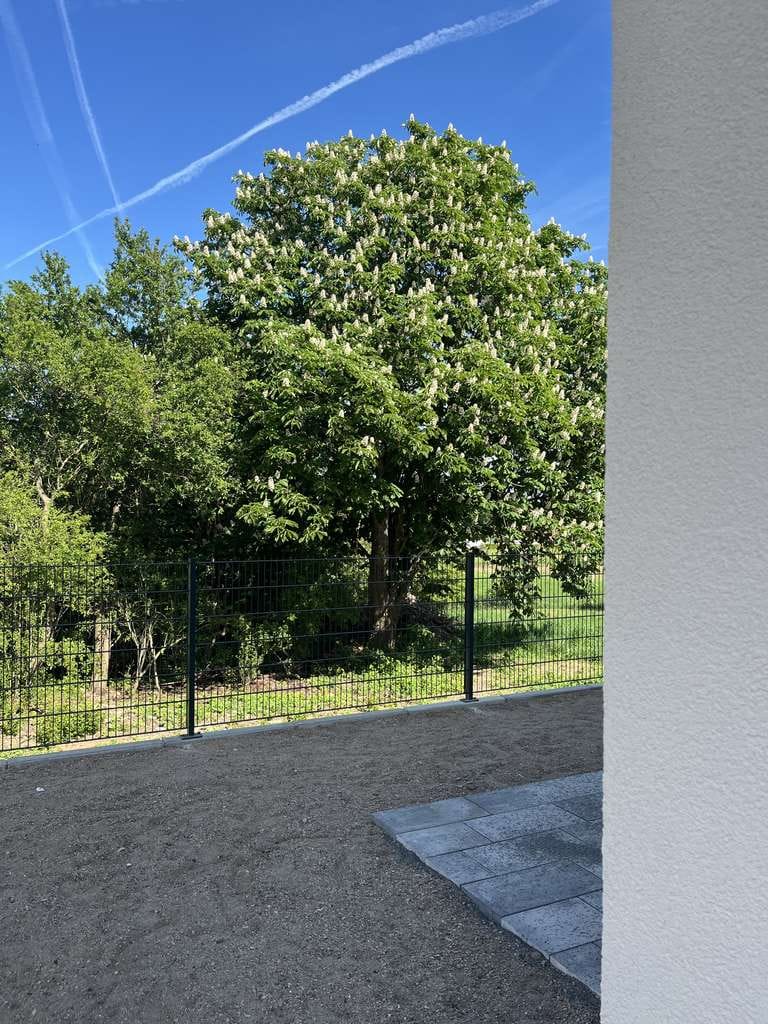 Immobilie in Kirchheimbolanden - Moderne energetische Doppelhaushälfte in schöner Lage - Bild 1