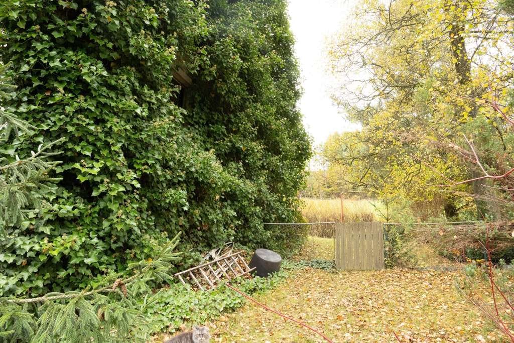 Immobilie in Wilnsdorf - Familienfreundliches Einfamilienhaus im Grünen von Wilnsdorf-Obersdorf - Bild 1