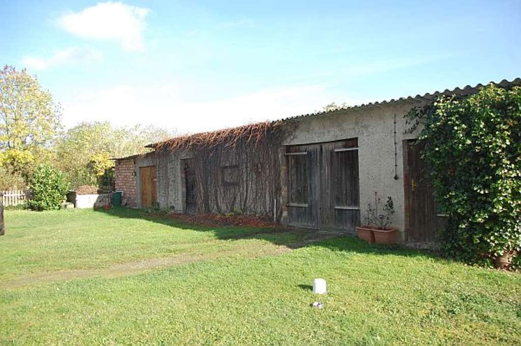 Immobilie in Rechlin - Das Haus im Garten - Bild 4