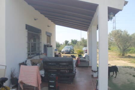 Immobilie in Mittelnkirchen - Haus Finca mit Pool und Stadt Strom in Top Lage, 30 Minuten zum Strand und Yachthafen. - Bild 3