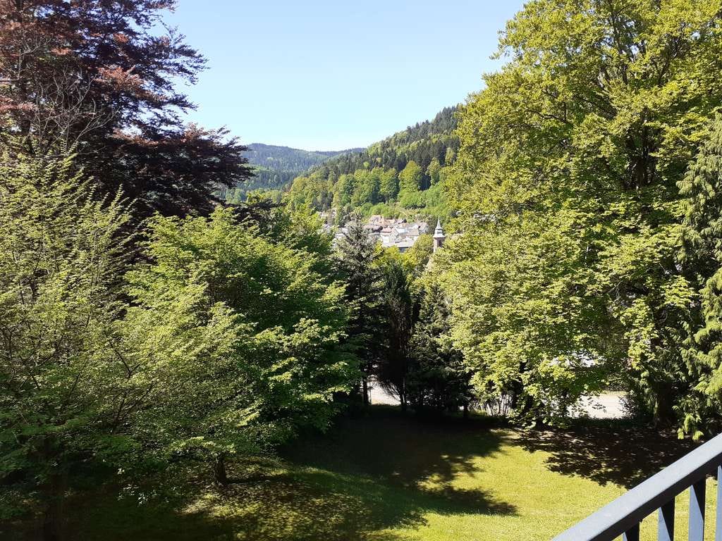 Immobilie in Bad Herrenalb - 1-Zimmer-Wohnung in Bad Herrenalb mit wunderbarem Ausblick - Bild 0