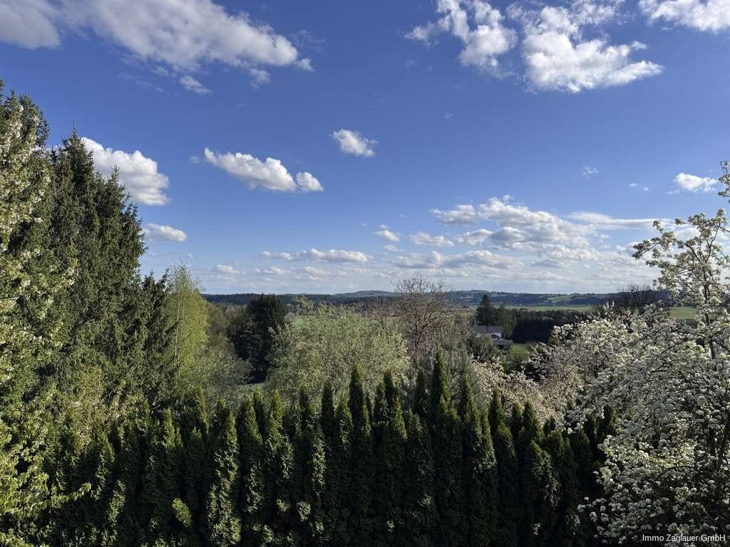 Immobilie in Außernzell - Idyllisches Wohnanwesen mit Wald, Nebengebäuden & sonnigem Südgarten in Außernzell - Bild 1