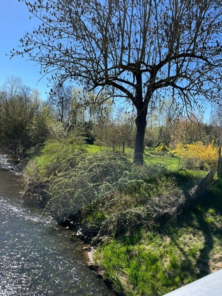 Immobilie in Glauburg - Saniertes EFH/2-FH inkl. Gartenland (1.503 m²) in idyllischer Lage - Erholung pur! - Bild 1