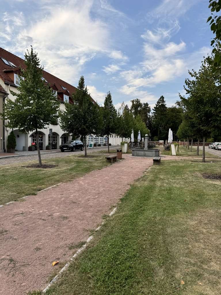Immobilie in Oranienbaum-Wörlitz - Wohnen am Wörlitzer Park - Bild 3