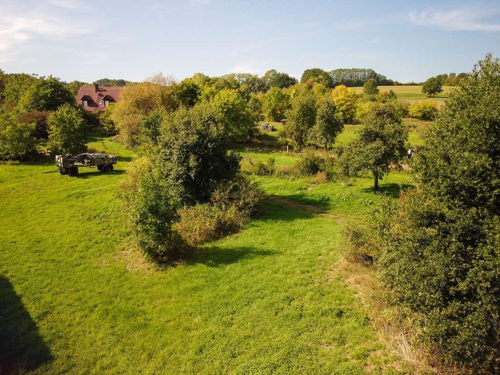 Immobilie in Reckendorf - Einmaliger Vierseithof im LK Bamberg! Riesiges Grundstück, 2 x Haus, Halle, 6000 qm Bauland! Garten! - Bild 2