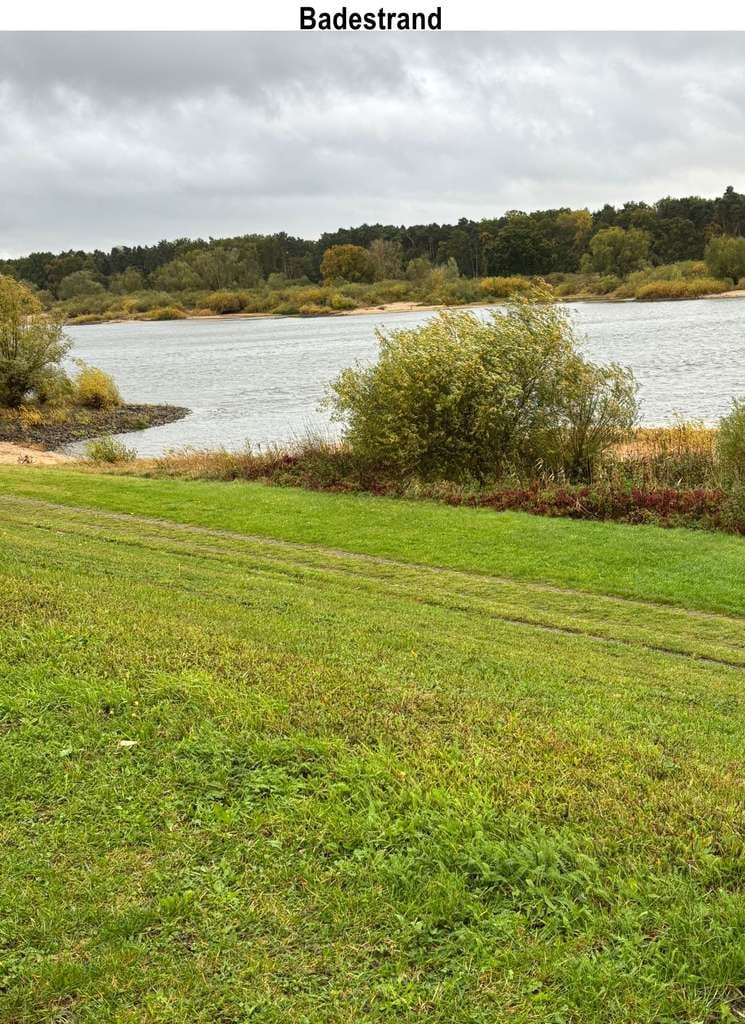 Immobilie in Amt Neuhaus - Provisionsfrei - sanierungsbedürftiges Landhaus auf großem Grundstück mit Elbeweitblick - Bild 3