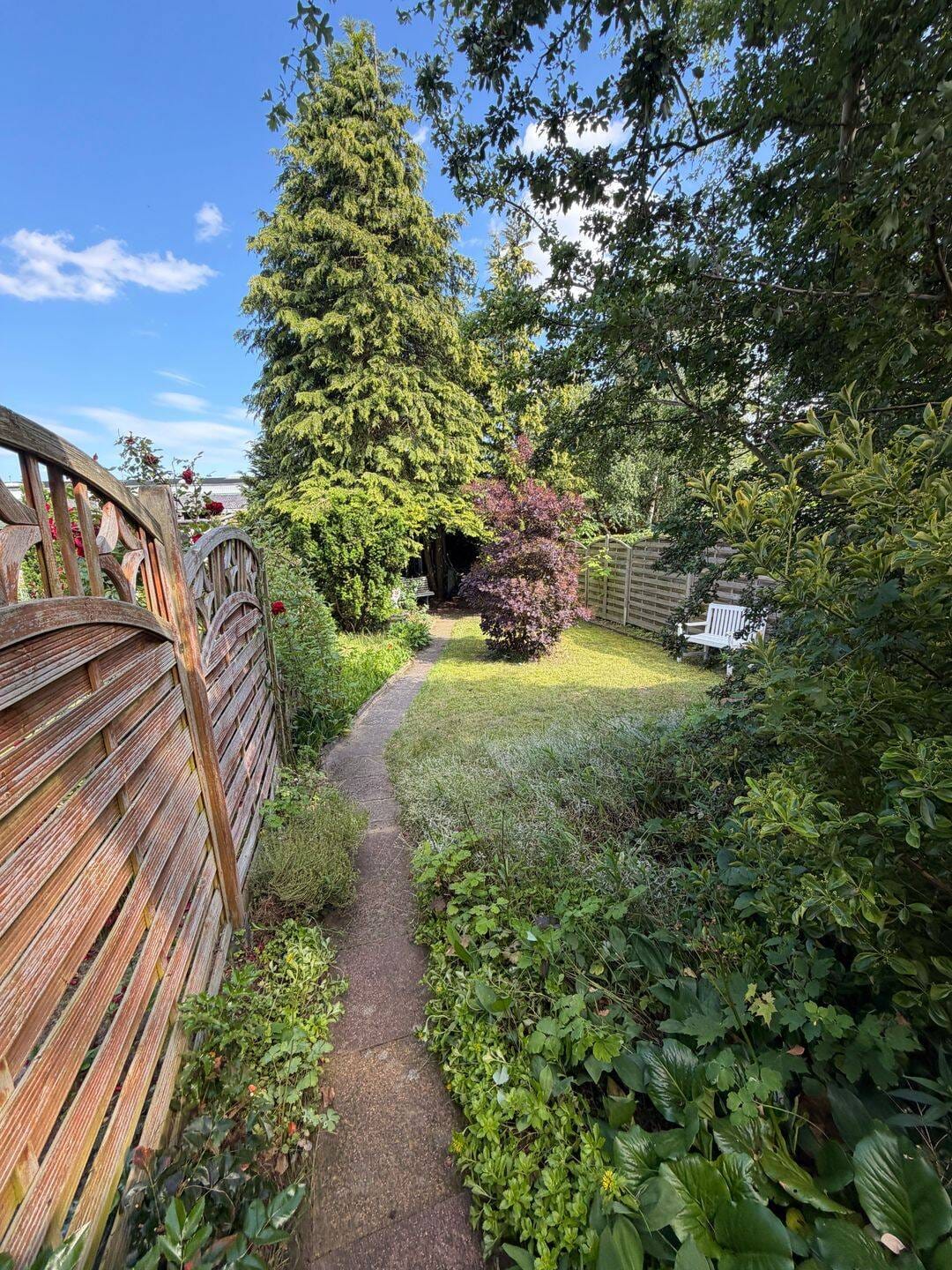 Immobilie in Hitzacker - Klein, fein & voller Möglichkeiten - Ihr neues Zuhause mit Garten   - Bild 2
