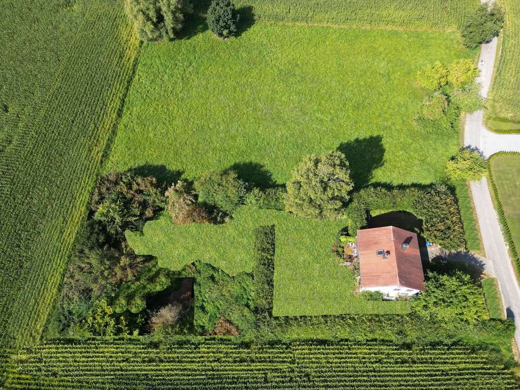 Immobilie in Neuhaus am Inn - Haus in ruhiger Lage mit großem Garten - Bild 4