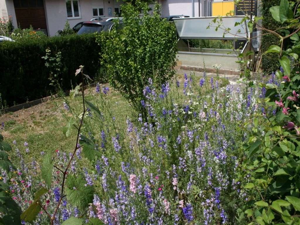 Immobilie in Gingen an der Fils - Mit viel Potential! - Bild 4