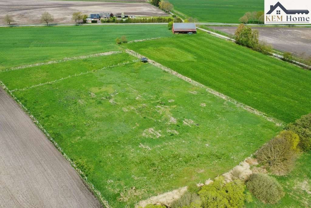 Immobilie in Varrel - Außergewöhnliches Anwesen mit zwei Wohneinheiten - Bild 3
