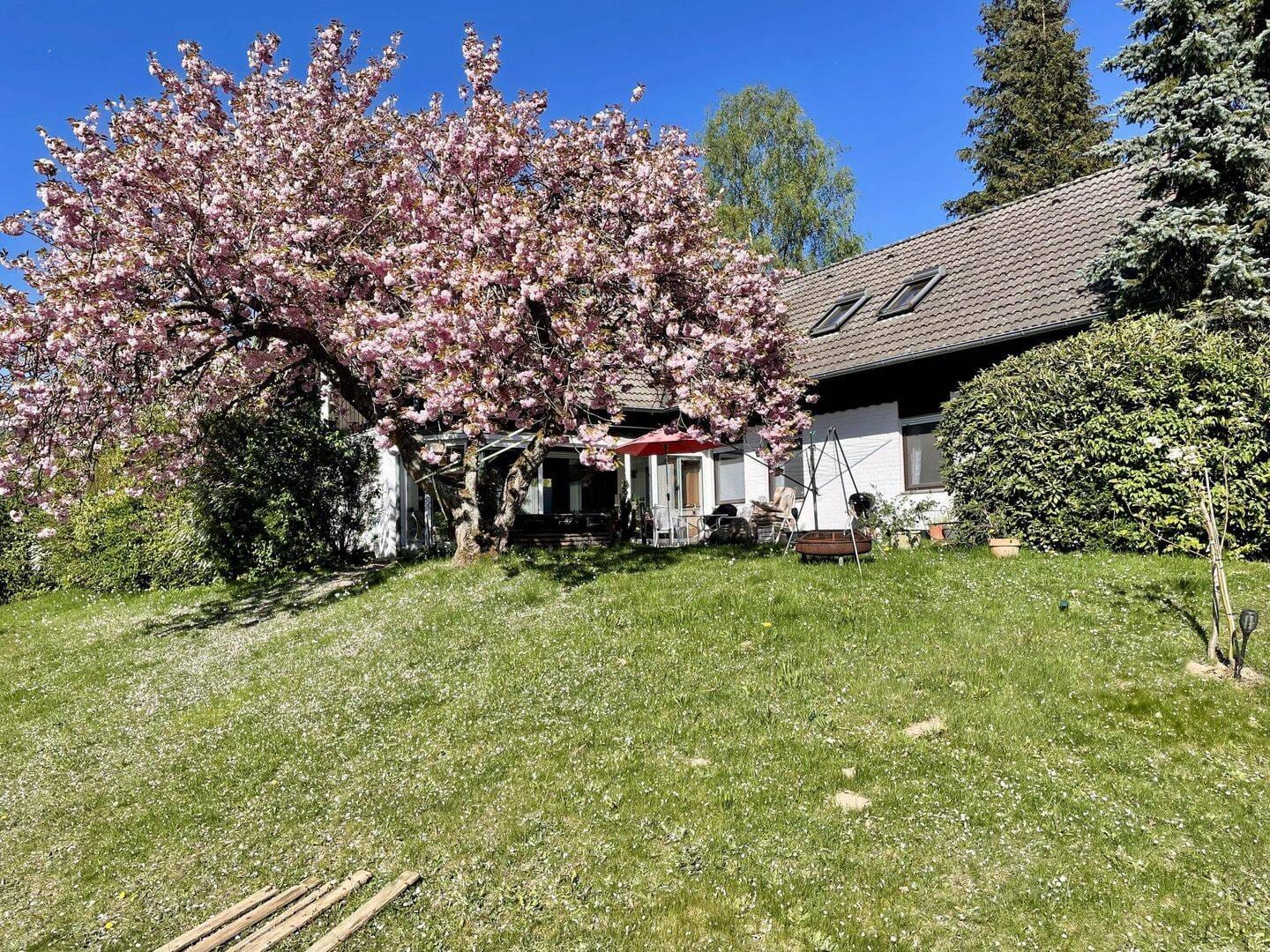 Immobilie in Burgwald - attraktives Wohnhaus mit 2 Wohneinheiten mit diversen Nutzungsmöglichkeiten - Bild 1