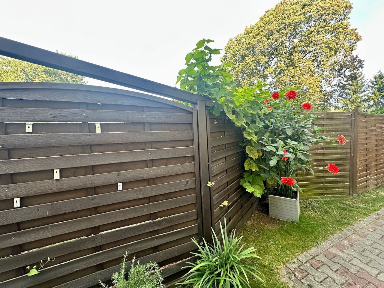 Immobilie in Ahrensfelde - Modernisiertes MFH mit fünf Wohnungen in ruhiger Lage nordöstlich von Berlin - Bild 1