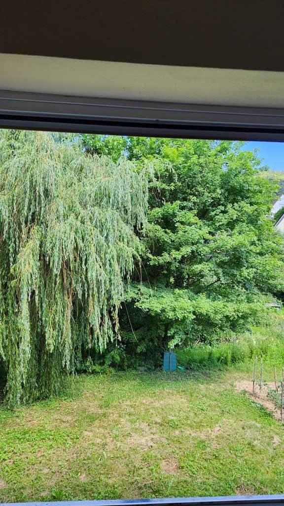 Immobilie in Eppstein - Freistehendes 4-Familienhaus mit sonnigem Garten und vieles mehr - Bild 3