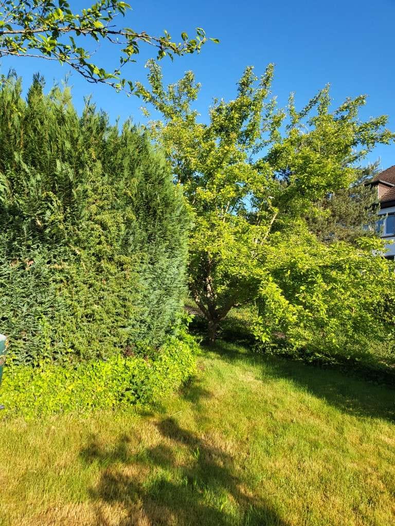 Immobilie in Contwig - Ein- bis Zweifamilienhaus mit großem Potenzial und sonnigem Garten - Bild 3