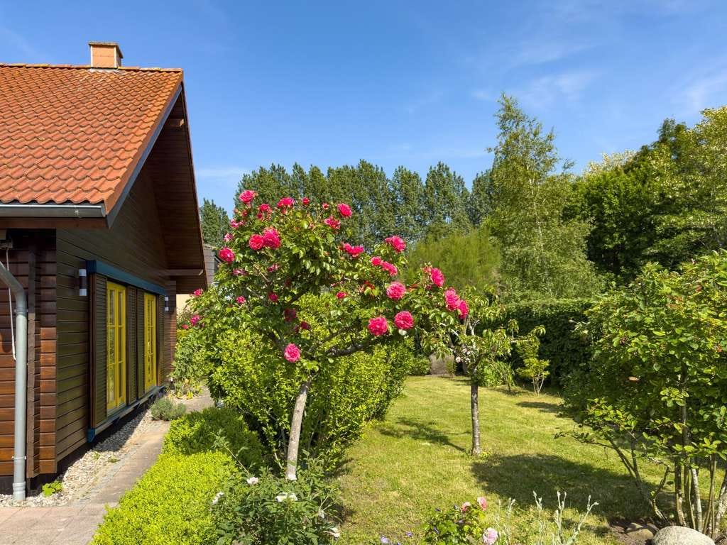 Immobilie in Glowe - Ihr neues Zuhause auf Rügen? 130m² auf einer Ebene im Ostseebad Glowe, provisionsfrei vom Eigentümer - Bild 3