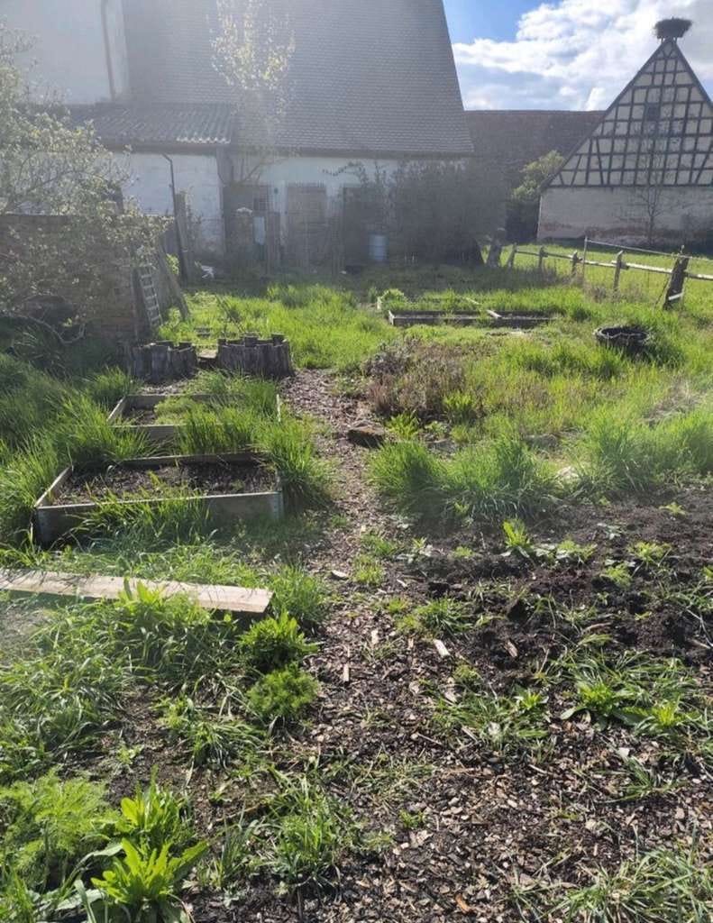 Immobilie in Colmberg - Bauernhaus mit Scheune und Nebengebäude, Garten und mit Bauland  - Bild 3
