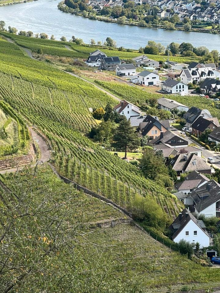 Immobilie in Winningen - Weingut mit Ferienwohnungen in Winningen - Bild 0