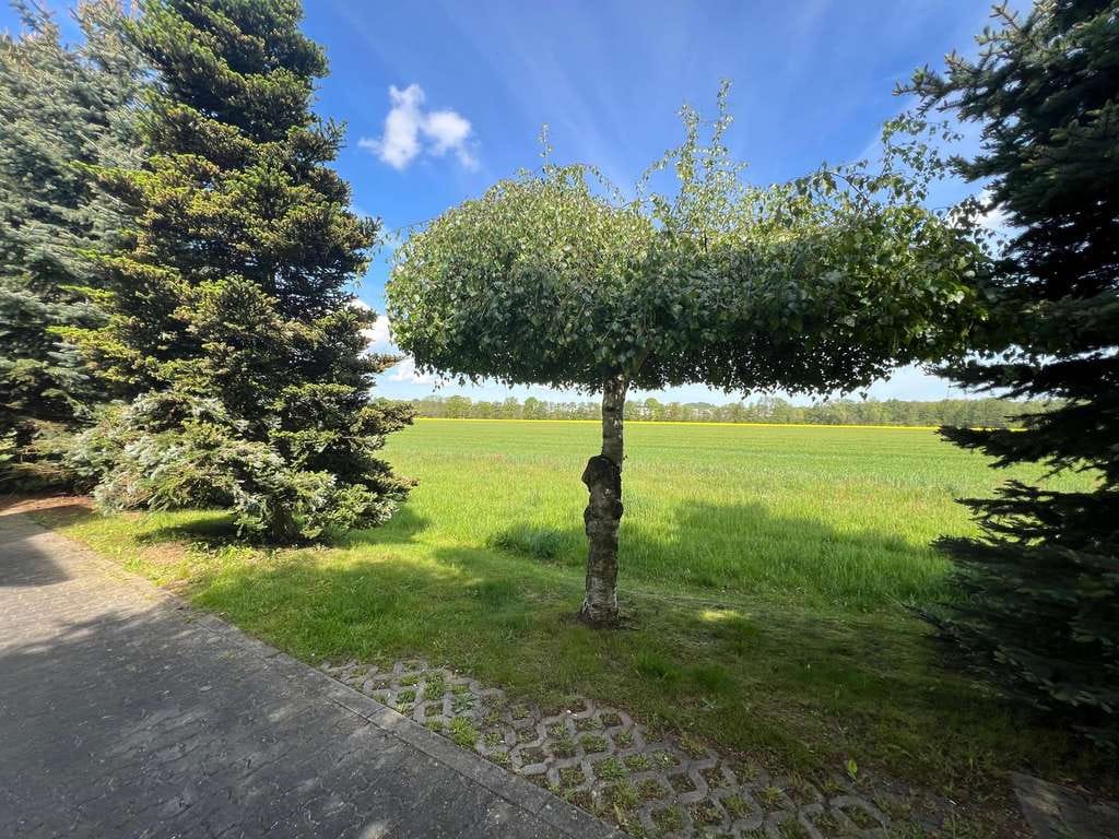 Immobilie in Arnsdorf - Das doppelte Lottchen! Zwei nebeneinanderliegende Wohnungen in idyllischer Lage im Dresdner Umland - Bild 2