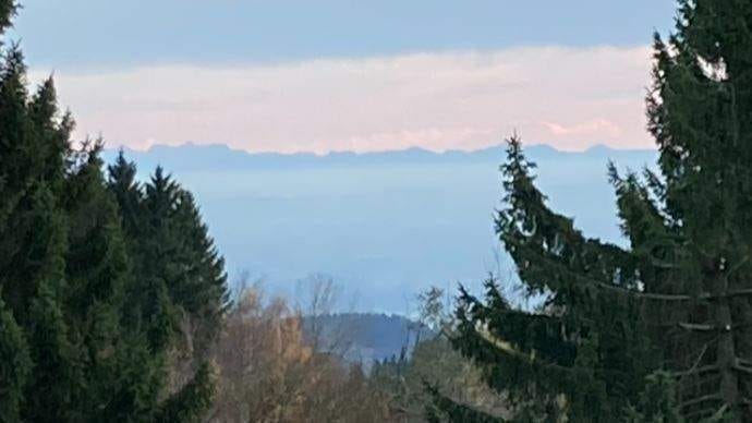Immobilie in Sankt Englmar - FEWO, super Lage, super Preis, Balkon mit Fernsicht - Bild 1