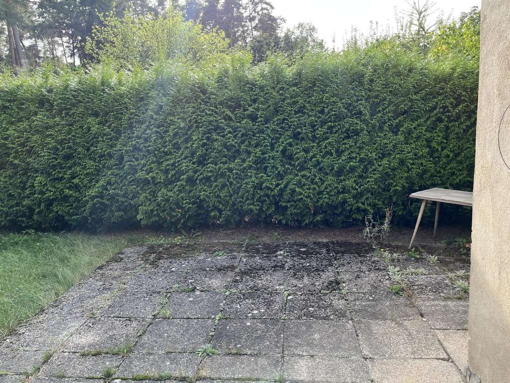 Immobilie in Crinitz - Idyllische & ruhige Lage direkt am Wald - Bild 3
