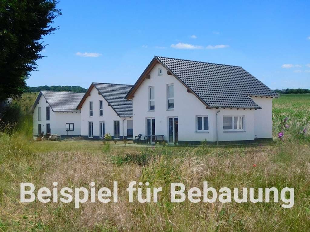 Immobilie in Schönwölkau - Ihr Traum von der Stadtvilla wird wahr - inkl. Grundstück - Bild 4