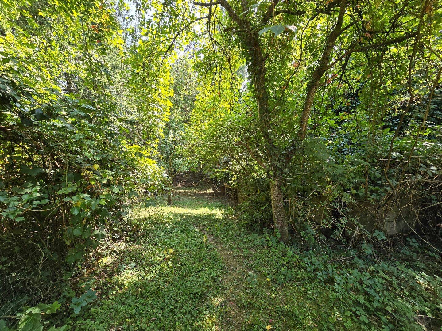 Immobilie in Bexbach - Einfamilienhaus mit großem Grundstück in ruhiger Lage von Frankenholz - Bild 2