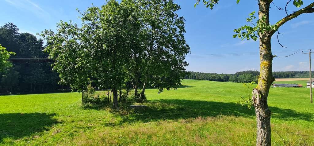 Immobilie in Tann - ... Seltene Gelegenheit - beziehbares Sacherl mit rd. 2ha Grund in ruhiger Alleinlage ... - Bild 1