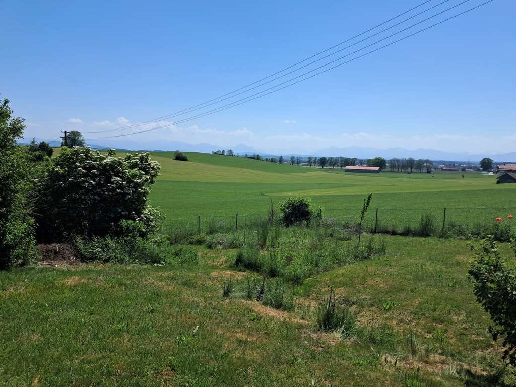 Immobilie in Ruderatshofen - EFH mit Alpenblick in Ruderatshofen/Apfeltrang mit Renovierungsbedarf - Bild 0