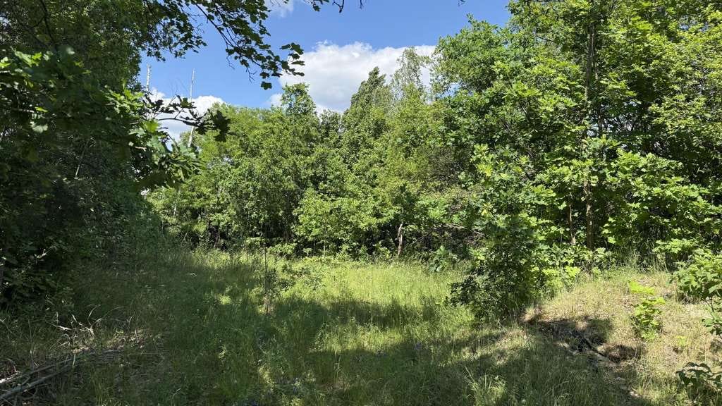 Immobilie in Spremberg - Gehöft am Stadtrand - Für fleißige Hände - Bild 3