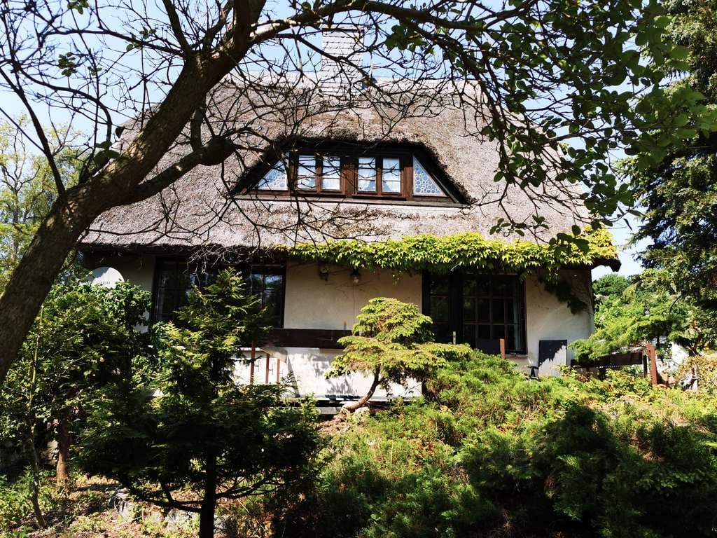 Immobilie in Insel Hiddensee - Charmantes EFH auf der Insel Hiddensee - Bild 2