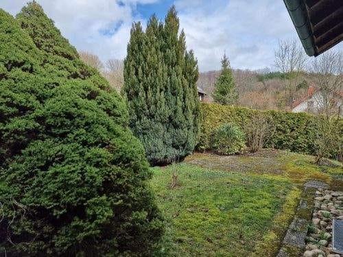 Immobilie in Oberelsbach - Wohnen wie im Urlaub! Einfamilienhaus in 97656 Oberelsbach-Ginolfs / Rhön-Grabfeld, 15 Min. bis Bad Neustadt (ID 10298) - Bild 2