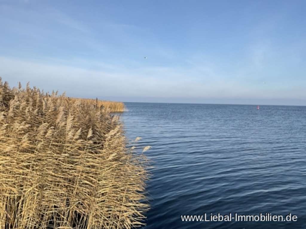 Immobilie in Luckow - Wasser, Wald und Pferde, Reiterhof beim Haff !!! - Bild 0