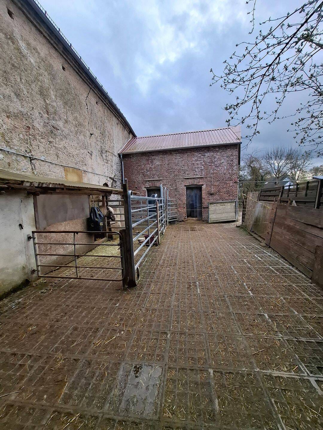 Immobilie in Oberneisen - Kompakter Pferdehof mit mehreren Gebäuden, Bewegungsplatz und ca. 1,5 ha Pachtweide!  - Bild 1