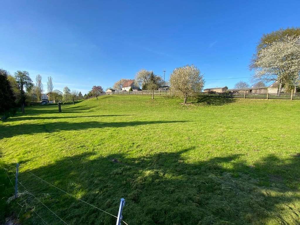 Immobilie in Geringswalde - Doppelhaushälfte in schöner Lage - Bild 1