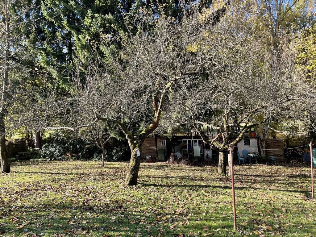 Immobilie in Jonsdorf - Denkmalgeschütztes Mehrfamilienhaus mit Scheune im Kurort Jonsdorf - Bild 1