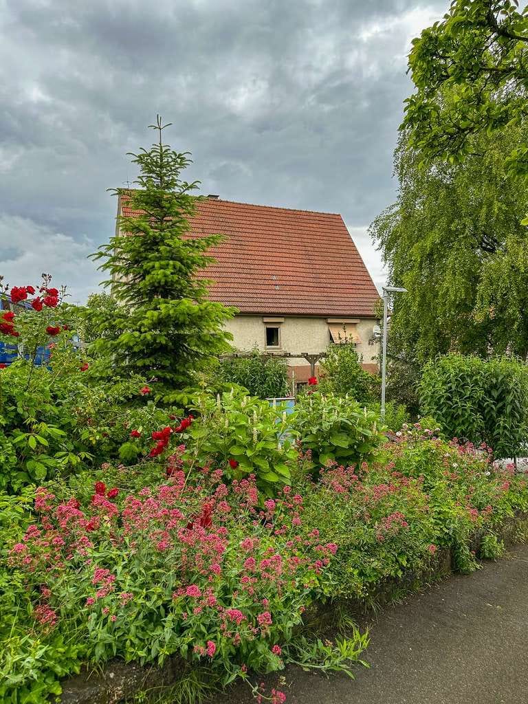 Immobilie in Unterensingen - //Sanierungsobjekt //Halbhöhenlage Unterensingen //Denkmalschutz (230 m²) und Neubau (200 m²) - Bild 2