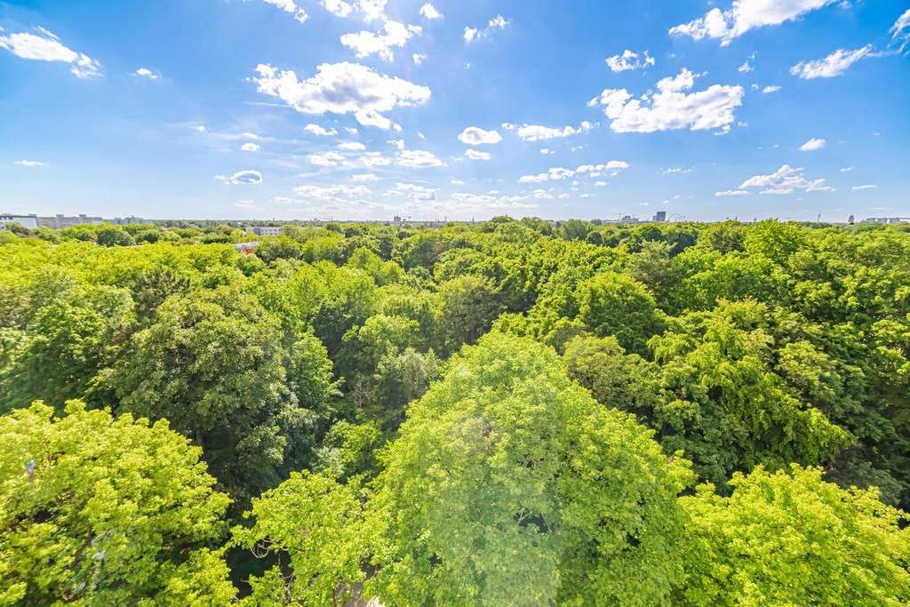 Immobilie in München - Sonniger Balkon! 1,5-Zimmer-Wohnung mit herrlichem Blick ins Grüne –TG-Stellplatz inklusive! - Bild 4